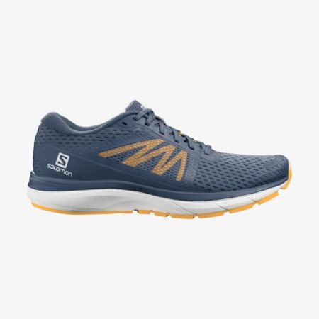 Salomon VECTUR Mens Running Shoes Navy | Salomon South Africa